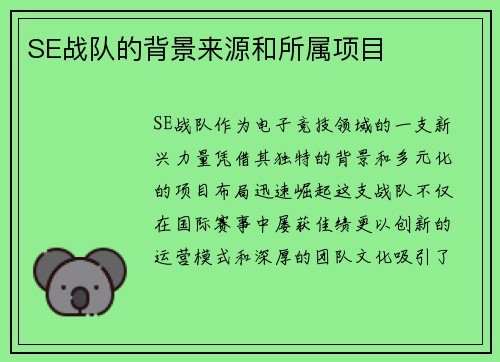 SE战队的背景来源和所属项目